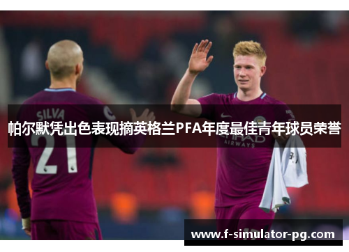 帕尔默凭出色表现摘英格兰PFA年度最佳青年球员荣誉
