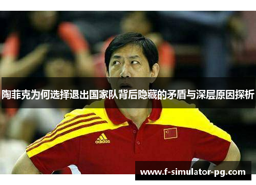 陶菲克为何选择退出国家队背后隐藏的矛盾与深层原因探析