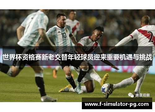 世界杯资格赛新老交替年轻球员迎来重要机遇与挑战