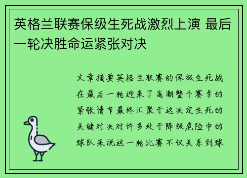 英格兰联赛保级生死战激烈上演 最后一轮决胜命运紧张对决